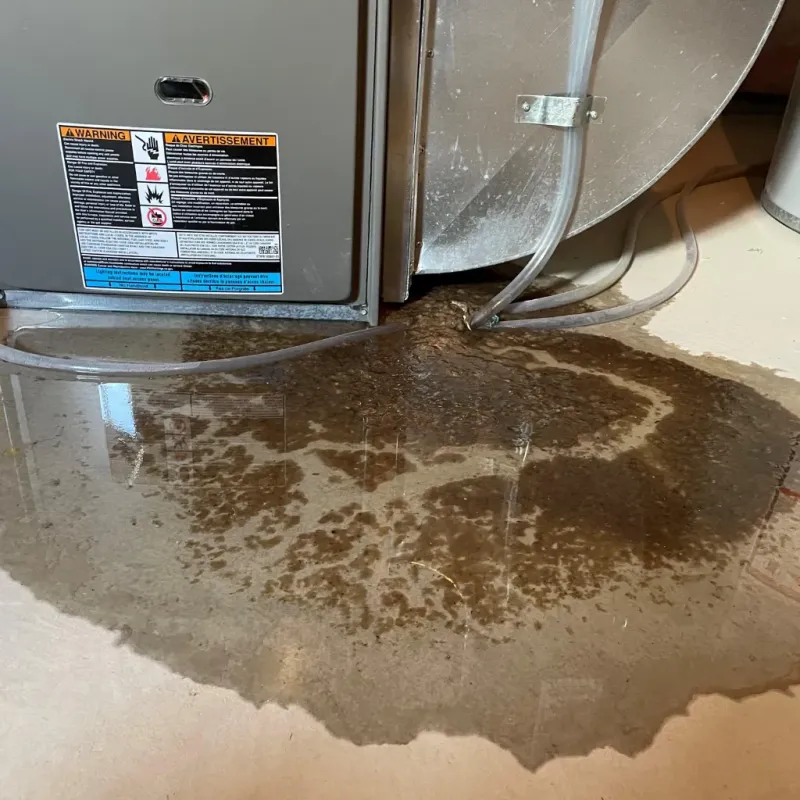 Appliance Leak Cleanup in Tyler County, WV