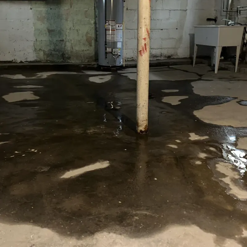 Emergency Water Extraction And Removal in Tyler County, WV